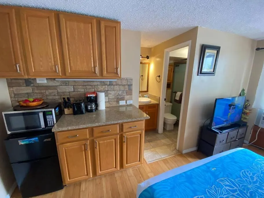 Kuhio Village Towers 2 410A Honolulu Apartment